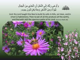 This is qs 16:69 english translate. Surat An Nahl Ayat 68 Zm Creations