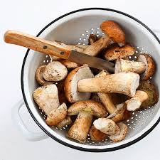 Dawniej, w zależności od ujęcia systematycznego, takson ten miał rangę podkrólestwa (fungi r.t. To Mit Ze Grzyby Nie Maja Skladnikow Odzywczych Maja Pomagaja Tez W Leczeniu Rozmowa