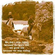 Seniority Straightness Training Academic Art Of Riding Horse Quotes Horse Life Beautiful Horses
