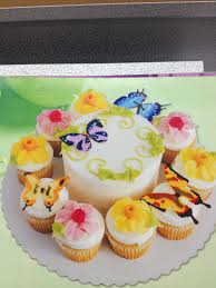 Sams Club Butterfly Cake With Cupcakes Kid Table Kids Tea Party Baby Cribs