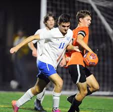 District 3 soccer score: Palmyra Cougars beat Spring Grove Rockets