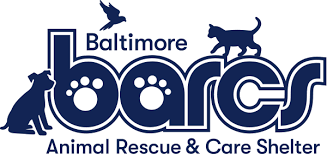 If you're looking to adopt a dog in maryland, here is the most comprehensive list of organizations that may have the breed you're looking for. Barcs