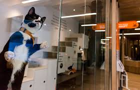 Rescue nyc saving lives and supporting rescue throughout nyc. Nyc Soho Pet Adoption Center Best Friends Animal Society
