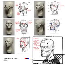 Homework 1 Learning The Fundamentals Anatomy For Artists Anatomy Drawing Anatomy