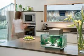 Aquarium Ideen 108 Designs Zum Integrieren In Der Wohnung Aquarium Design Aquarium Beistelltisch