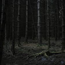 Feel free to share aesthetic wallpapers and background images with your friends. Outdoor Aesthetic But Make It Dark Academia Plu Tumbex