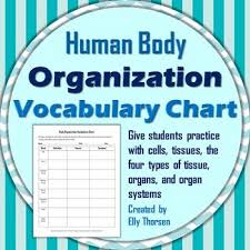 Body Organization Vocabulary Chart Cells Tissues Organs And Systems Teaching Middle School Science Middle School Science Resources Vocabulary