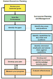 Succession Planning And Management Guide