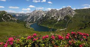 Scroll to the bottom of this page to let other travelers. Wanderurlaub Sommerurlaub In Grossarl Grossarltal Salzburger Land
