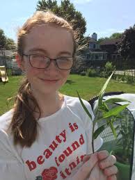 Raising monarch butterflies biology project guide