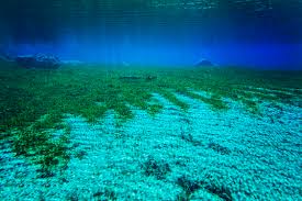 Which great lake has the clearest water? Blue Lake Nelson World S Clearest Lake Tourism New Zealand Media
