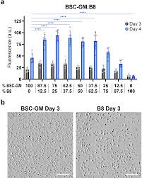 Human Platelet Lysate: Replacing Fetal Bovine Serum As A Gold Standard For  Human Cell Propagation? - Sciencedirect