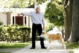 bir kopegin hikayesi hachi a dog s tale hachiko bir kopek ile sahibi arasinda dog story richard gere a dog s tale