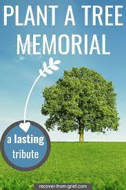 Here are few trees and shrubs that might make nice memorial gifts: Plant A Tree Memorial A Lasting Tribute Recover From Grief