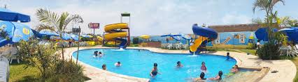 Pollería NORKYS con piscina