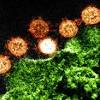 Story image for coronavirus from UCSF News Services