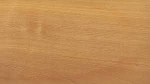 Image result for Mitragyna rubrostipulata