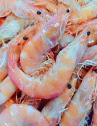 LARGE COOKED VANNAMEI PRAWNS 5KG BOX (FROZEN 10/15) | Claudio's Seafoods