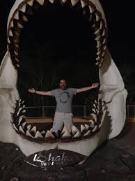 By the way, one such tooth is worth a fortune. This Month S 3d Printed Reward Is A Megalodon Tooth Here Are 5 Things To Know About Megalodon Southern Fried Science