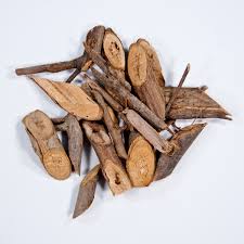 Image result for Cordia dichotoma