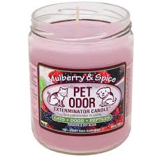 I love lov love this candle!! Specialty Pet Productspet Odor Exterminator Candle Mulberry Spice Jar 13 Oz Dailymail