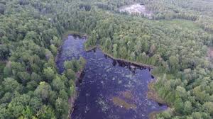 There are many activities you can enjoy there: Bear Brook State Park Nh Youtube