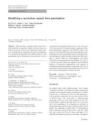 Image result for Lomariopsis hederacea