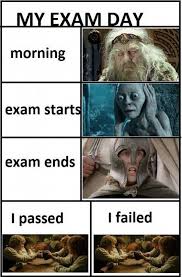 My Exam Day Funny Quotes About Finals Week Quotesbae