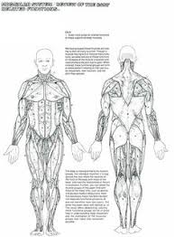 You are viewing some muscle sketch templates click on a template to sketch over it and color it in and share with your family and friends. 11 Science Worksheets Printable Ideas Coloring Pages Science Worksheets Worksheets For Kids