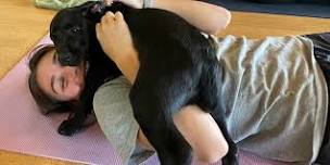 DNYP - Pups and Poses at Three Danes Wellness