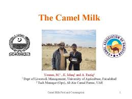 Sort by popularity sort by newness sort by price: The Camel Milk Younas M 1 K Ishaq