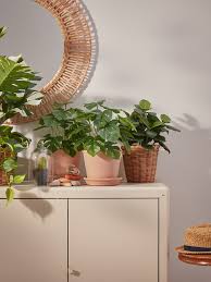 Grillskär door/side units/back, black/stainless steel outdoor, 337/8x24 with these grillskär doors and panels, your outdoor kitchen gets a clean look while protecting your utensils, oils and herbs from dust. Kolbjorn Beige Cabinet In Outdoor 80x81 Cm Ikea