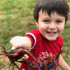 TOP 10 BEST Preschool With Cameras near Spring, TX