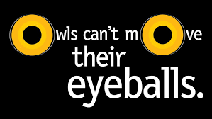 We need faithful pastors to do the hard, slow work of shepherding camels. Bird S Eye View National Geographic Society