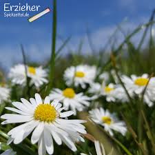 Maybe you would like to learn more about one of these? Fertige Lerngeschichte Mannlich Krippe Beispiel Erzieherspickzettel De