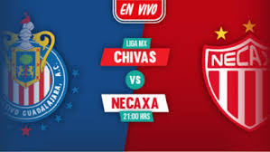 (чивас ригал) в п/у 0,7 л. Chivas Hoy Archives Futbol Rf