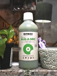 Nutrient loading from lawn fertilizer runoff is a major factor in promoting algae growth in urban ponds. Hey Guys I Just Purchased This Algae Fertilizer And I Wanted To Ask If Anyone Used This To Feed Houseplants And Also For Foliage Mist Thanks Houseplants
