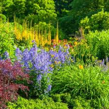 It produces dainty purplish blue flowers from spring into fall with. 25 Best Perennial Flowers Ideas For Easy Perennial Flowering Plants