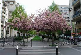 la coulee verte rene dumont promenade plantee paris 12e coulee verte coulee verte paris restaurant paris