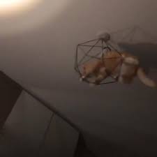 1 has screws on the outside of the metal frame, so you unscrew those and hold the glass bowl. Cat Swings From Light Fixture Jukin Media Inc