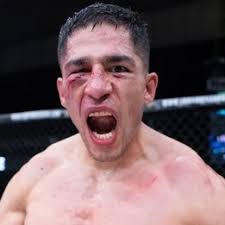 Alan Domínguez vs. Antonio Suárez II, Lux Fight League 36