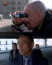 Jacket for pit bull inspired by Breaking Bad