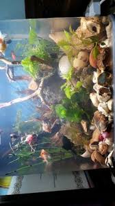 Pin Oleh Nugraheni Setiati Di Heni Florist Borneo Banjarbaru Kalsel Indonesia Kreatif