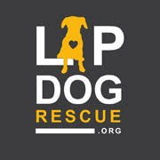 We strive to engage all prospective adopters in a. Home Lap Dog Rescue Of New Mexico A Foster Based Rescue Organization In Tijeras Nm