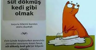 Semiha Adli Kullanicinin Deyimler Panosundaki Pin Goruntuler Ile Deyimler Atasozleri Okuma Calismasi