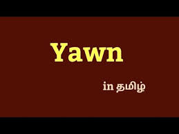 Yawn Meaning In தம ழ Tamil Youtube