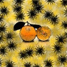We did not find results for: Music Zakk Introduces Tangerine By Led Zeppelin Learning To Fly