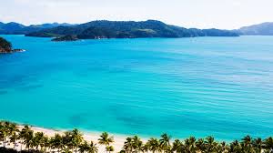 Maybe you would like to learn more about one of these? Dial In From Paradise Hamilton Island Blog