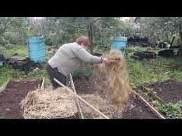 во саду ли в огороде юлия миняева посадка чеснока Novyj Super Sposob Posadki Chesnoka I Ne Nado Gnut Spinu 01 10 19 Chast 2 Youtube