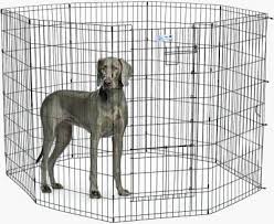 Installing shade will protect your dog from the sunlight. What Is The Best Portable Dog Playpen In 2021 Camp Addict